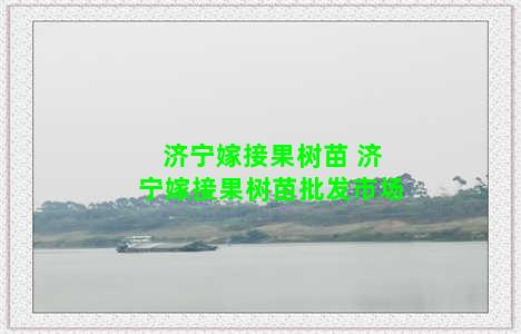 济宁嫁接果树苗 济宁嫁接果树苗批发市场